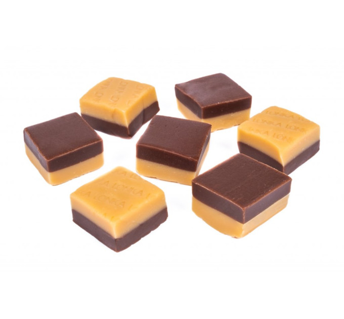 Fondán DUO (čokoláda-vanilka) 350g