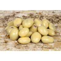 Brusnice v jogurtové polevě 350g