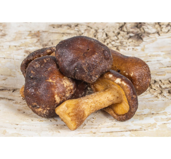 Houby Shiitake 100g