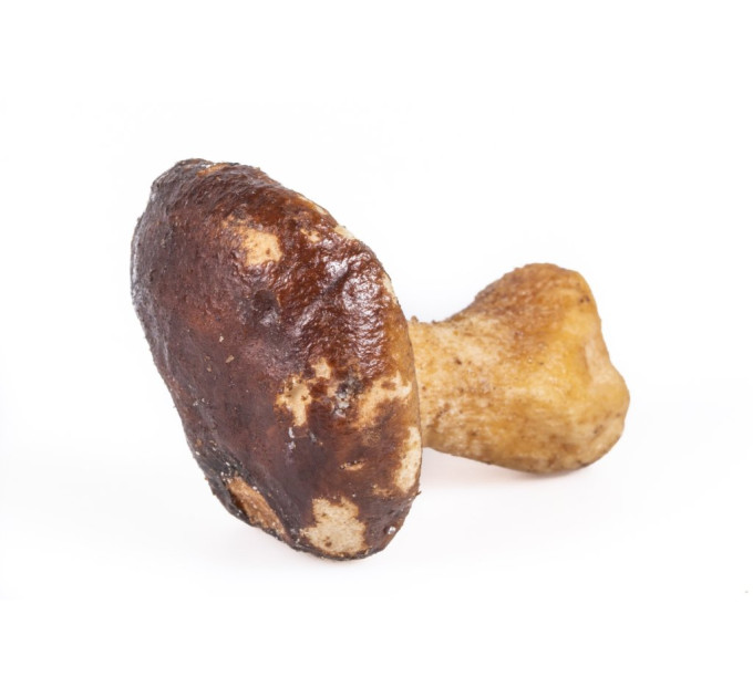 Houby Shiitake 100g