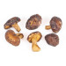 Houby Shiitake 100g