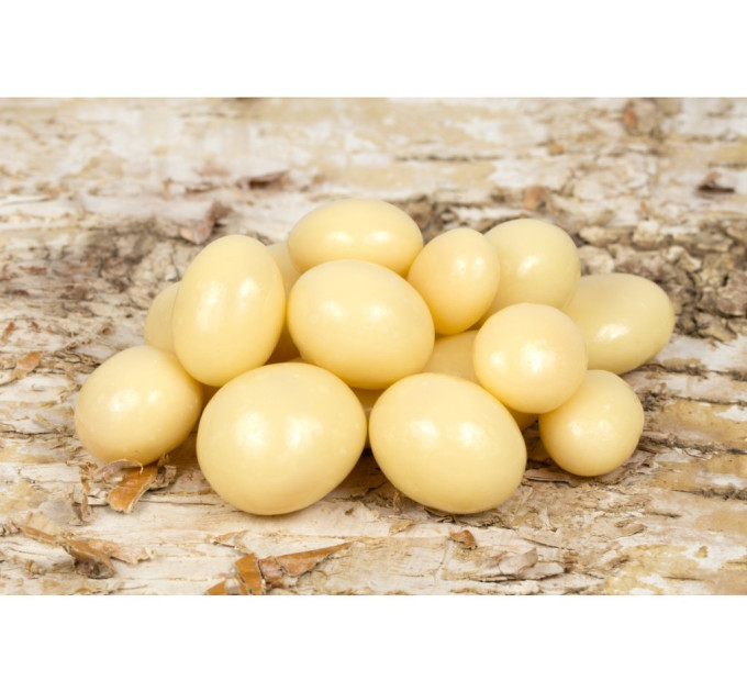 Meruňky v jogurtové polevě 350g