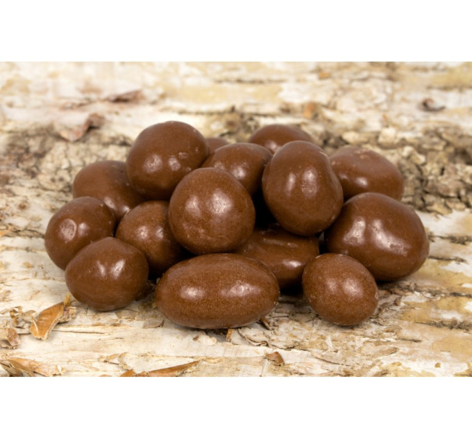 Meruňky v mléčné čokoládě 300g