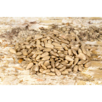 Slunečnicové semínko loupané 250g Slunečnicové semínko loupané 250g
